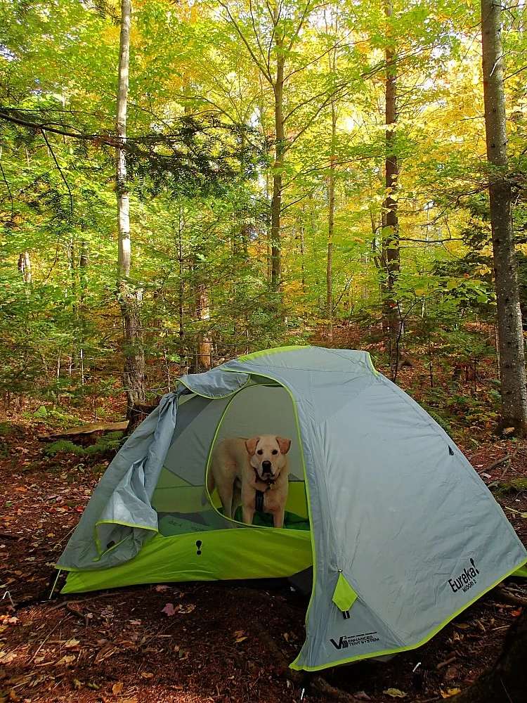 Eureka! Midori 2 20 Eureka! Midori 2 - Image 20